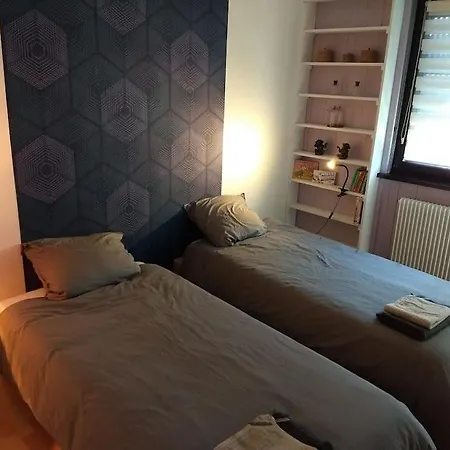 Maison Familiale 30 Min. D'europa-park - Rulantica Holiday home