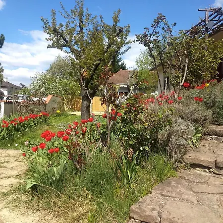 Maison Familiale 30 Min. D'europa-park - Rulantica *
