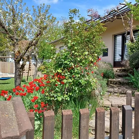 Maison Familiale 30 Min. D'europa-park - Rulantica Holiday home